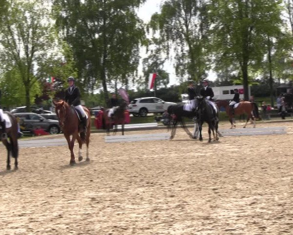 Reitturnier Ahlen 2017