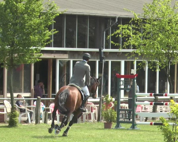 Reitturnier Lienen 2017