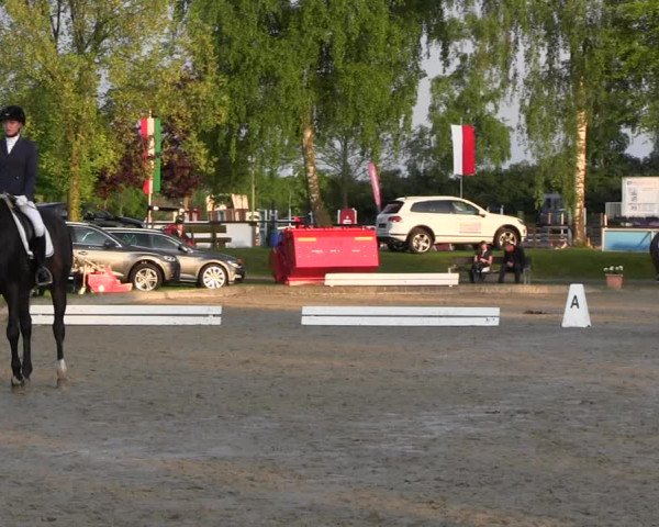 Reitturnier Ahlen 2017
