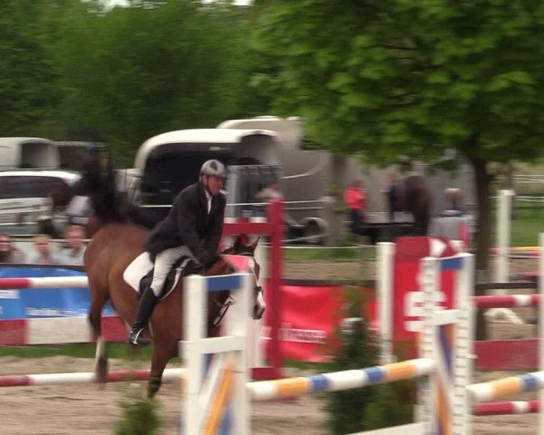 Reitturnier Ahlen 2017