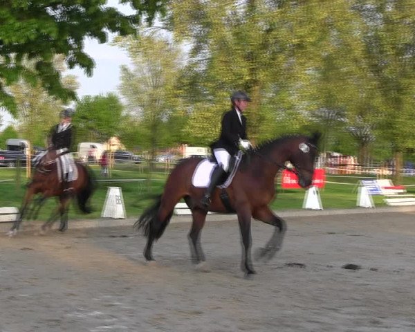Reitturnier Ahlen 2017