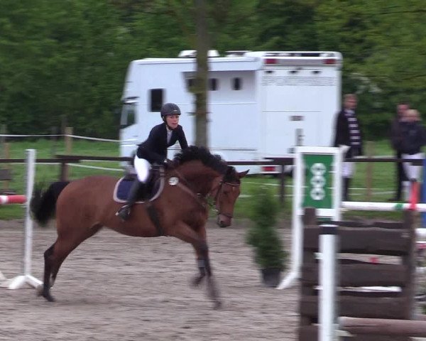 Reitturnier Ahlen 2017
