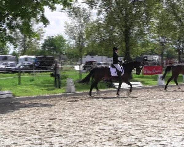 Reitturnier Ahlen 2017