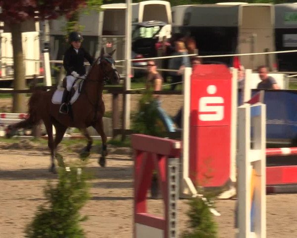 Reitturnier Ahlen 2017