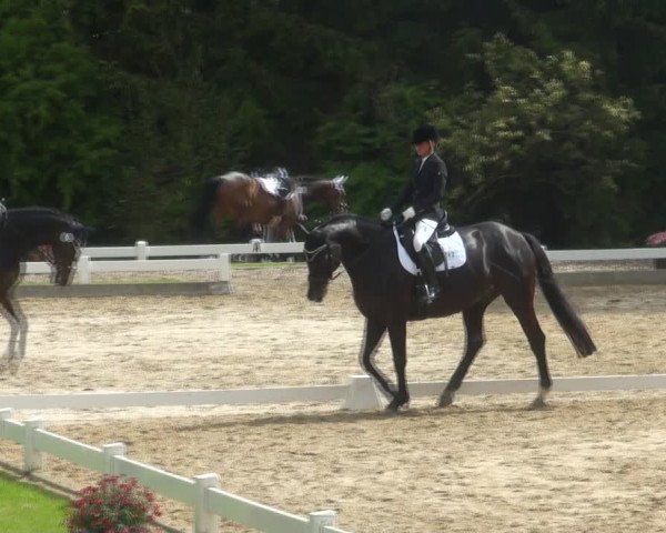 Reitturnier Halver 2017