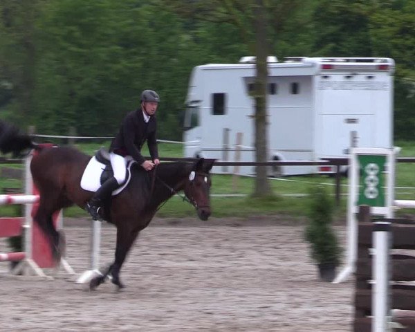 Reitturnier Ahlen 2017