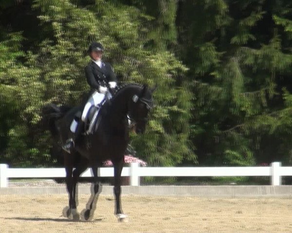 Reitturnier Halver 2017