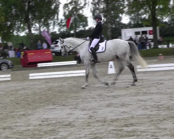 Reitturnier Ahlen 2017