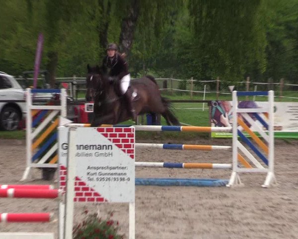 Reitturnier Ahlen 2017