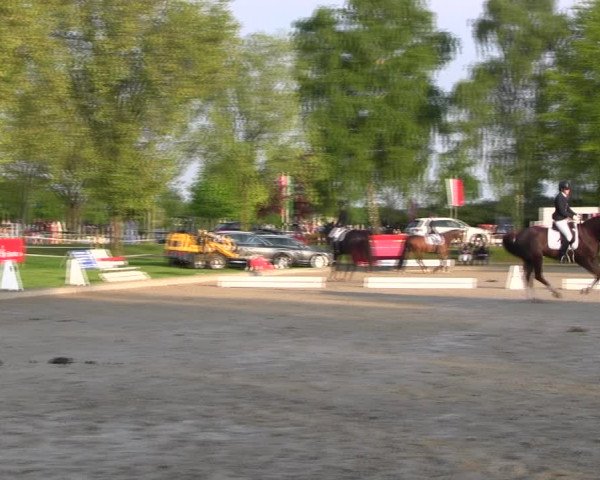 Reitturnier Ahlen 2017