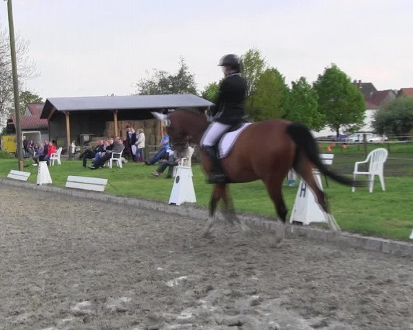 Reitturnier Ahlen 2017