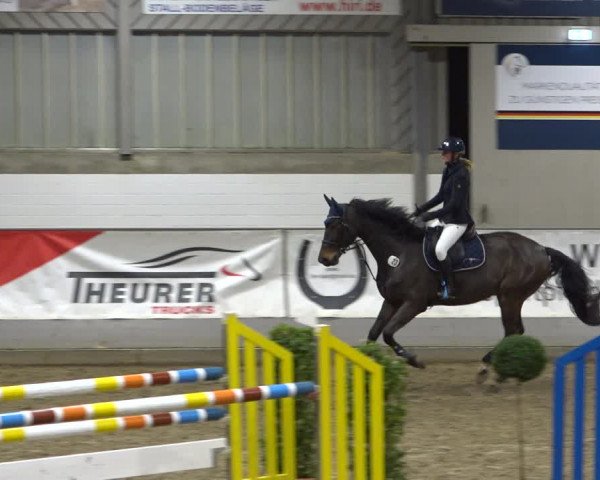 Reitturnier Luhmühlen 2021