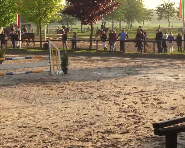 Reitturnier Ahlen 2017