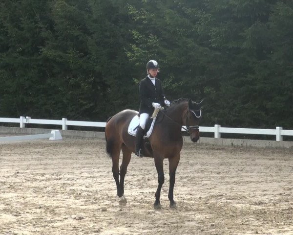 Reitturnier Halver 2017