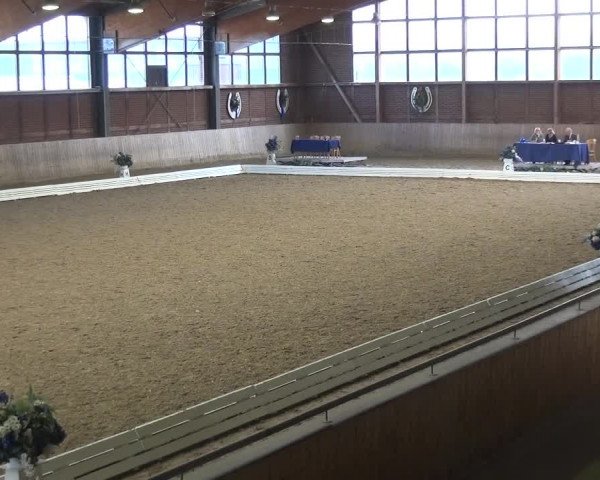 Reitturnier Köln-Leverkusen 2017