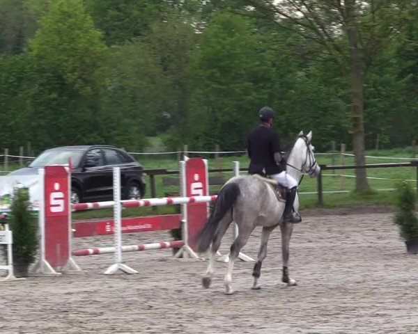 Reitturnier Ahlen 2017