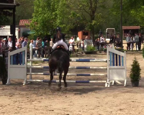 Reitturnier Ahlen 2017