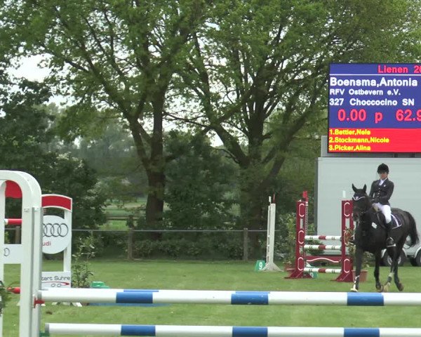 Reitturnier Lienen 2017