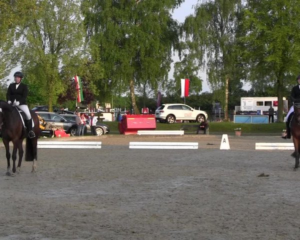 Reitturnier Ahlen 2017