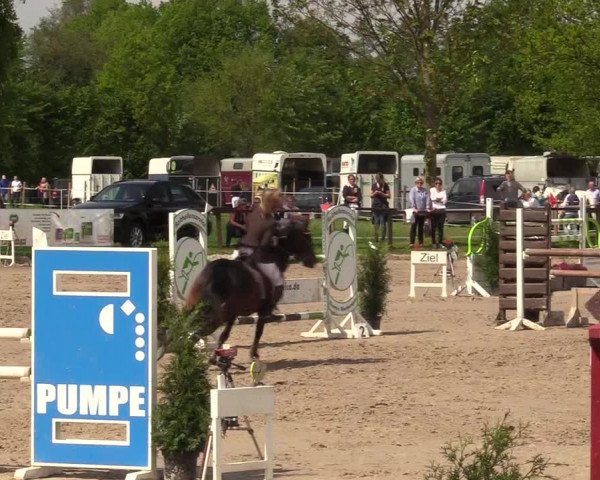 Reitturnier Ahlen 2017