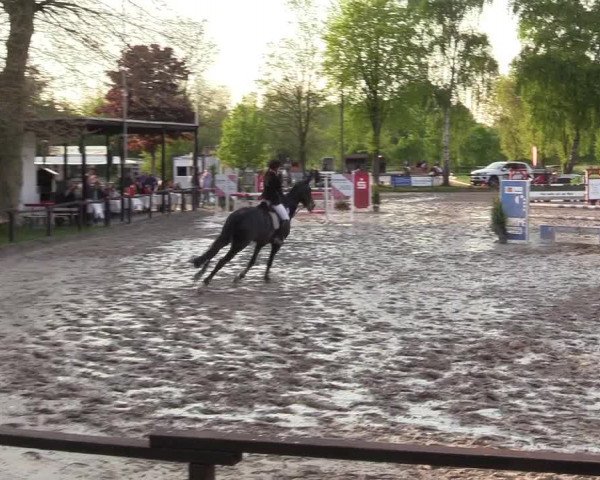 Reitturnier Ahlen 2017