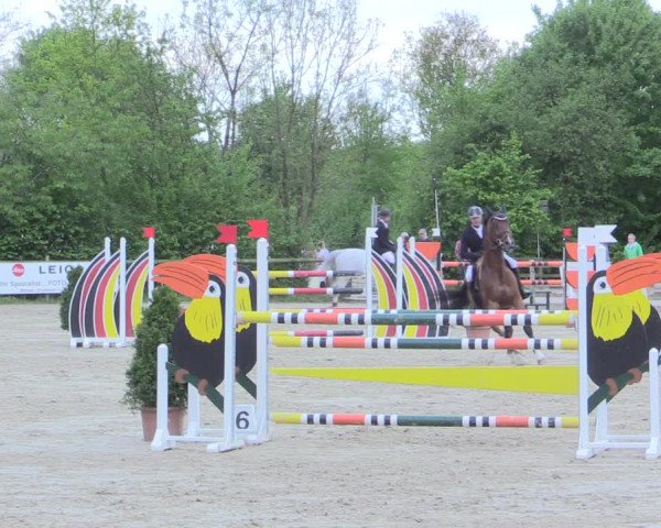 Reitturnier Nienberge 2017