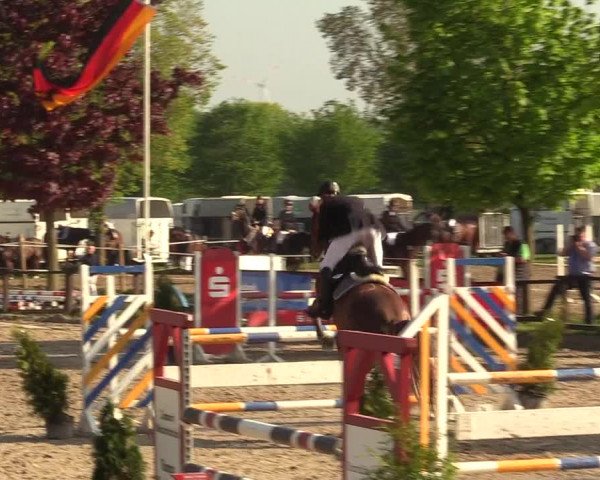 Reitturnier Ahlen 2017