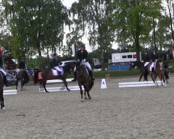 Reitturnier Ahlen 2017