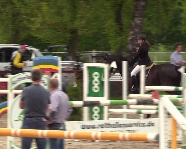 Reitturnier Ahlen 2017