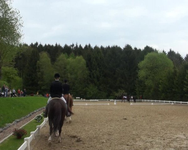 Reitturnier Halver 2017