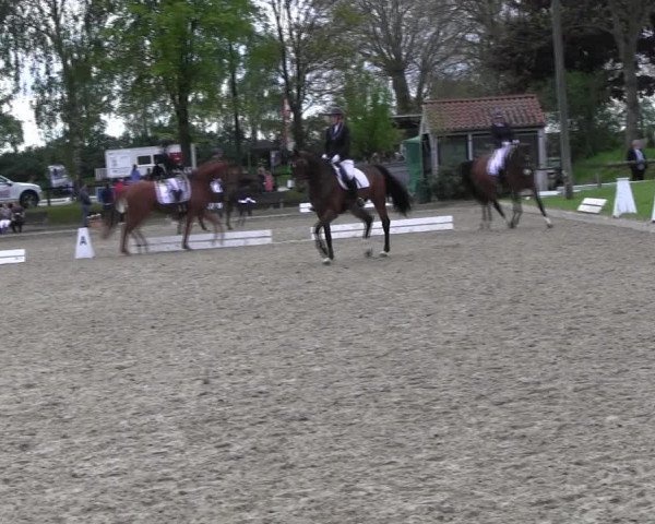 Reitturnier Ahlen 2017