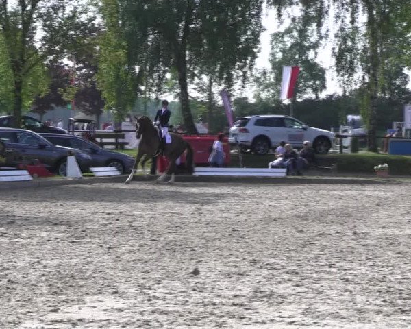 Reitturnier Ahlen 2017