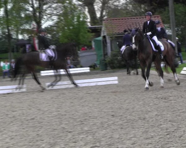 Reitturnier Ahlen 2017