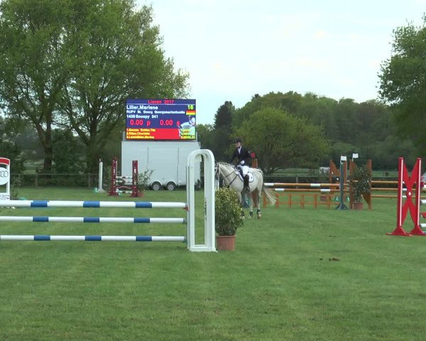 Reitturnier Lienen 2017