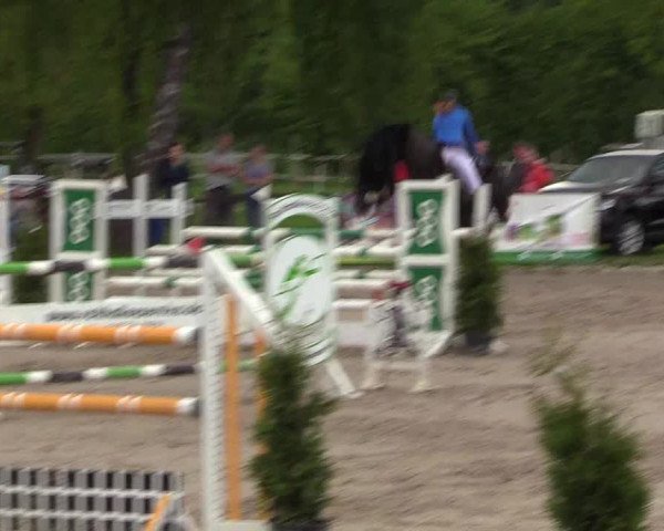 Reitturnier Ahlen 2017