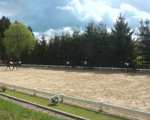 Reitturnier Halver 2017