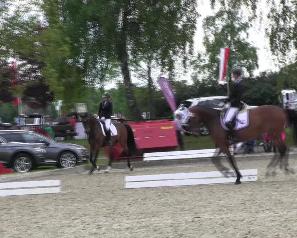 Reitturnier Ahlen 2017