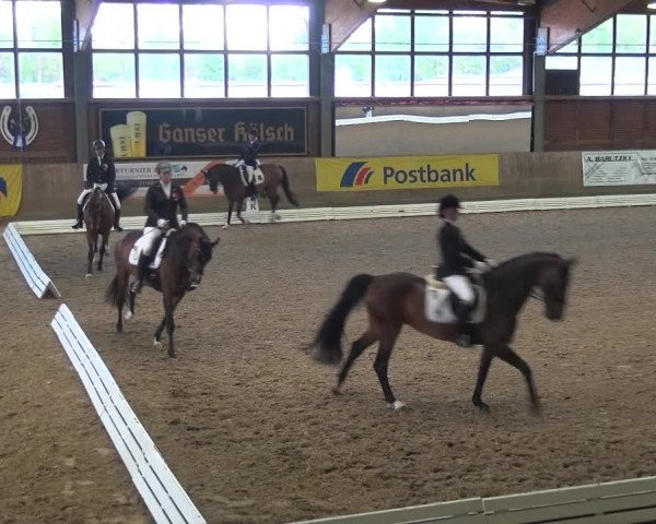 Reitturnier Köln-Leverkusen 2017