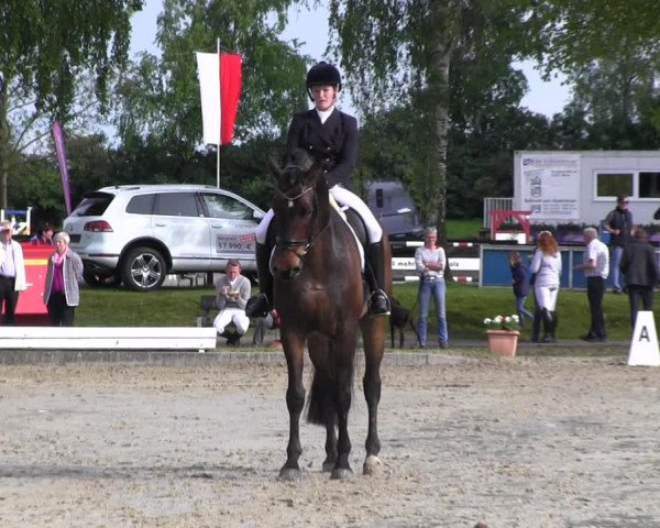 Reitturnier Ahlen 2017