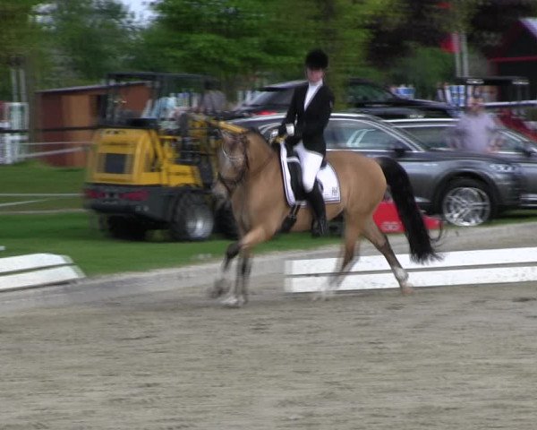 Reitturnier Ahlen 2017