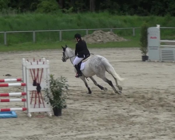 Reitturnier Köln-Leverkusen 2017