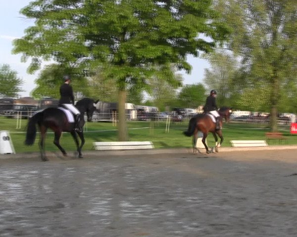 Reitturnier Ahlen 2017