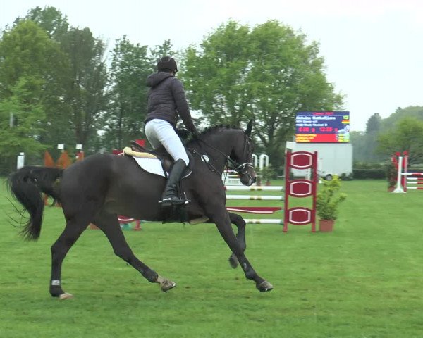 Reitturnier Lienen 2017