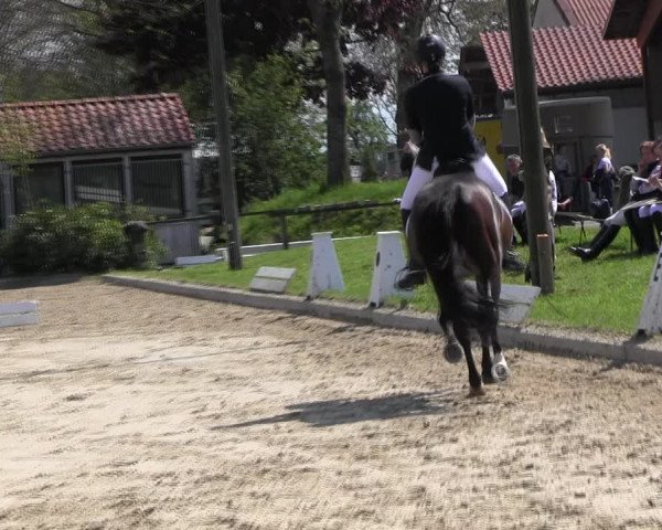 Reitturnier Ahlen 2017
