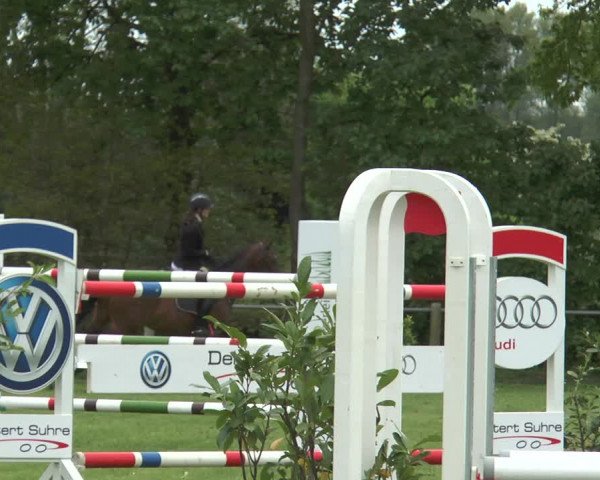 Reitturnier Lienen 2017