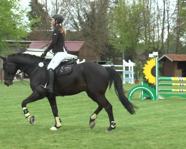 Reitturnier Lienen 2017