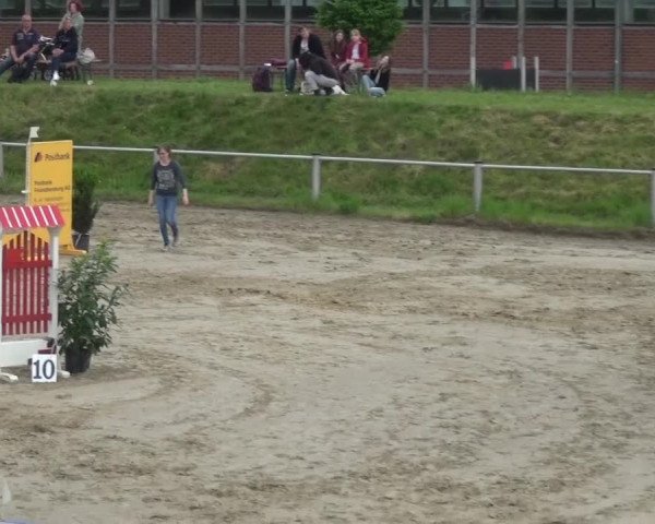Reitturnier Köln-Leverkusen 2017