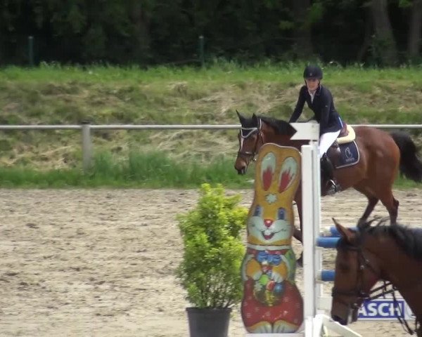 Reitturnier Köln-Leverkusen 2017