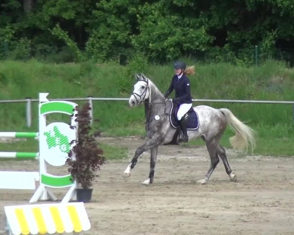 Reitturnier Köln-Leverkusen 2017