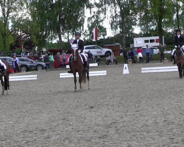 Reitturnier Ahlen 2017
